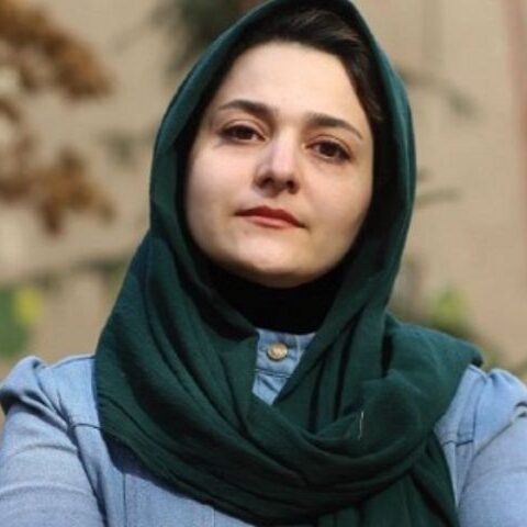 تصویر نسیم مرعشی، نویسنده